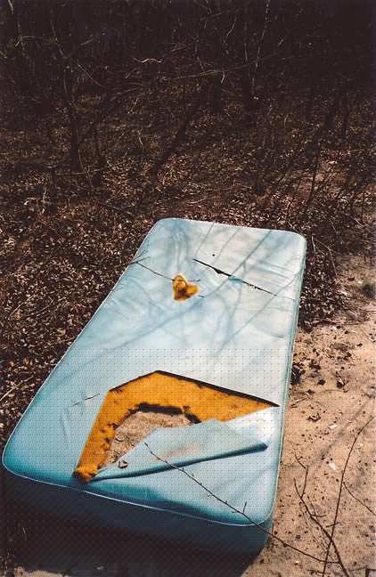 darm/987654321.jpg