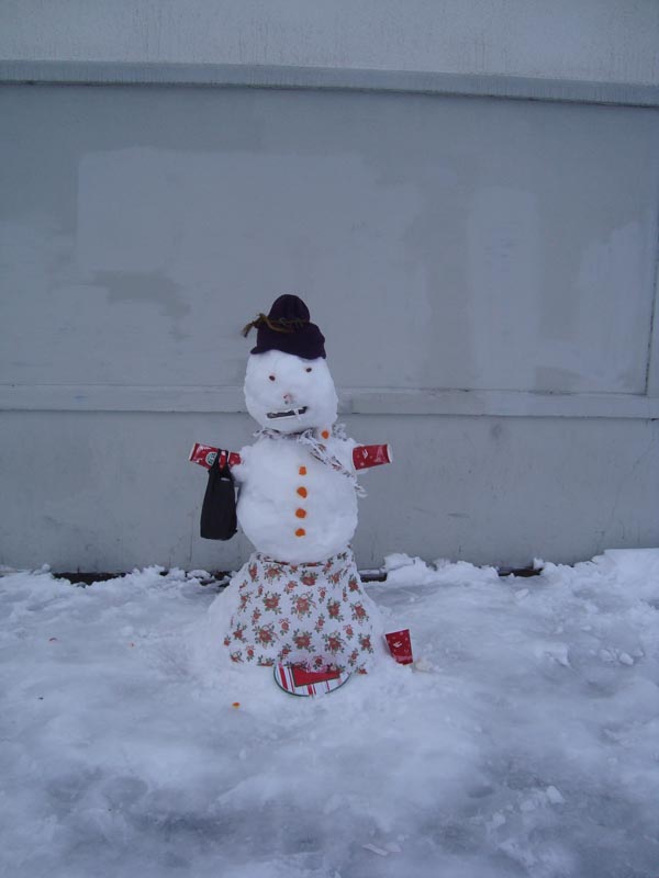 snowman/markmarkcross14.jpg