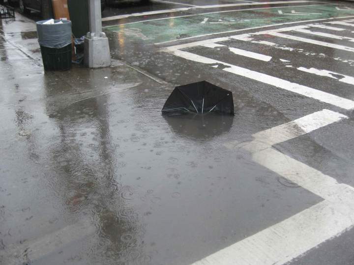 umbrella/img_2796.jpg