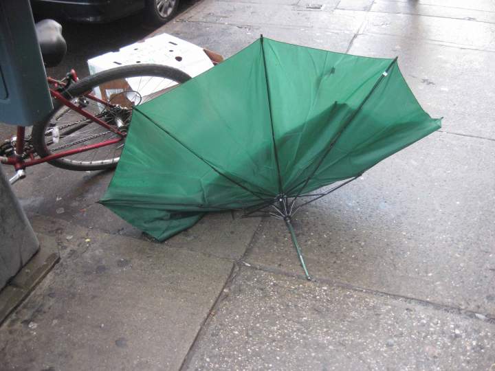 umbrella/img_2796.jpg